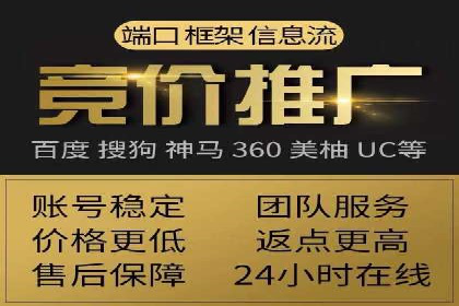 SEM服务公司助力品牌崛起案例